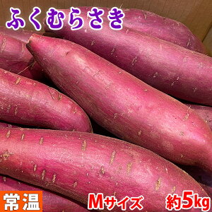 千葉県産　さつまいも　ふくむらさき　秀品　Mサイズ　約4.5～5kg（20本前後入）