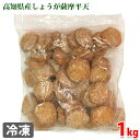 冷凍　高知県産しょうがの薩摩平天　1000g（20g×50個）