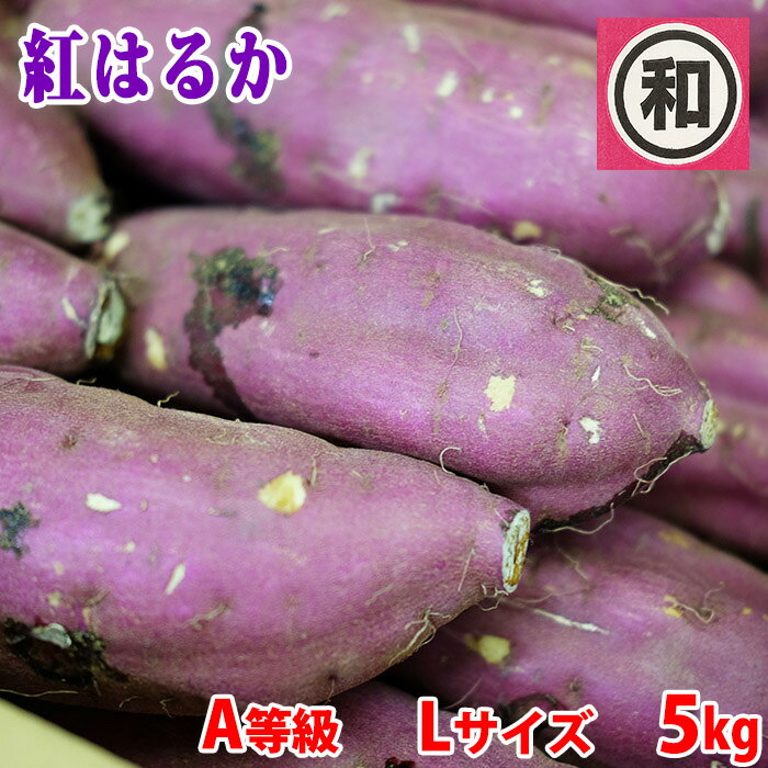 【送料無料】 茨城県産(マルワ)さつまいも 紅はるか A等級 Lサイズ 約5kg (12〜13本前後入) 貯蔵 箱入り