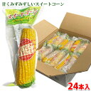 【送料無料】 丸成商事 スイートコーン 真空パック (中国産・軸付) 24本入り (箱) とうもろこし