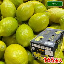 【送料無料】 チリ産 レモン (箱)