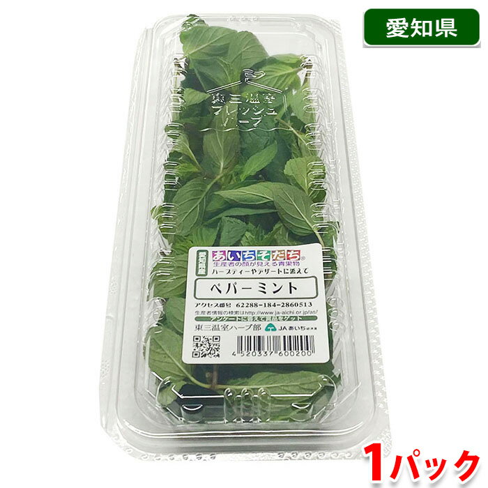 愛知県産 ペパーミント 食用ハーブ 1パック