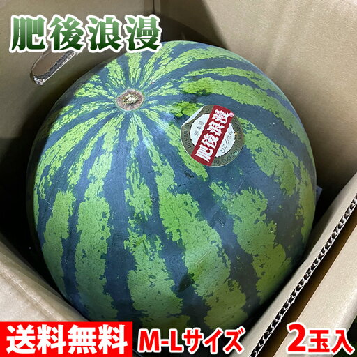 【送料無料】 熊本県産 すいか 肥後浪漫 秀品 M〜Lサイズ 2玉入(箱) 【送料無料】 熊本県産 すいか 肥後浪漫 秀品 M〜Lサイズ 2玉入(箱)