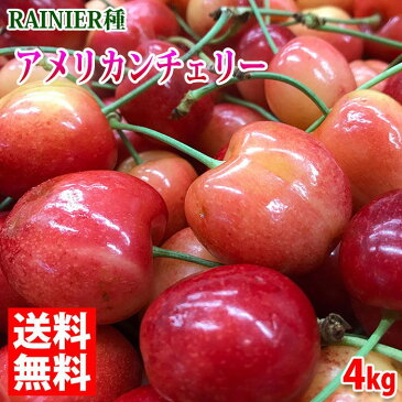 【送料無料】アメリカ産　アメリカンチェリー　RAINIER（レイニア）種　4kg