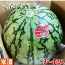 【送料無料】 石川県産 こだま西瓜(小玉すいか)秀品 3L〜4Lサイズ(3〜4玉入)(箱)