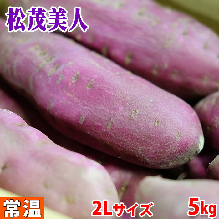 徳島県産（JA松茂）さつまいも　なると金時　「松茂美人」　秀品　2Lサイズ　約5kg（12～13本前後入）箱入り