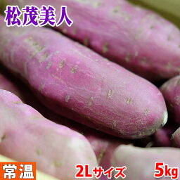 【送料無料】徳島県産（JA松茂）さつまいも　なると金時　「松茂美人」　秀品　2Lサイズ　約5kg（12～13本前後入）箱入り