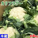 徳島県産　カリフラワー　約4kg　8株入り（箱） 茨城旭村農業組合のさつまいも品種「シルクスイート」を選定・熟成保存した「旭甘十郎」ブランド。 定温貯蔵によって1か月以上熟成した甘く美味しいさつまいもです。 ねっとりとした甘い食感がある人気ブランドです。 ※常温商品・冷蔵商品・冷凍商品は混合で発送できません。ご一緒にご注文の場合は別途送料がかかる場合がございます。 商品詳細 商品名（名称） カリフラワー 規格・サイズ 秀品・Lサイズ 内容量 約4kg　8株入り 産地 徳島県 販売期間 10月〜4月 発送方法 冷蔵便 同梱不可 常温・冷凍の商品との同梱はできません。