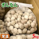 【送料無料】大分県産　ぎんなん　秀品　L～2Lサイズ　5kg