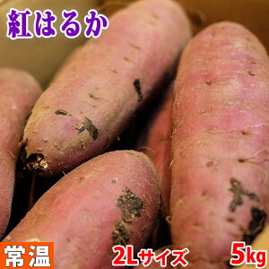 茨城県産　さつまいも　旭甘十郎　紅はるか　特秀　2Lサイズ　5kg (8～9本前後) 貯蔵 箱入り