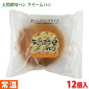 天然酵母パン （クリーム） 12個入り （箱） 天然酵母の菓子パン「クリームパン」。 発芽玄米酵母を使ったほのかに甘く旨味のある体にやさしいパンです。 賞味期限が長いので長期保存してお召し上がりいただけます。 長持ちするロングライフパンは、買い置きに便利です。 ※常温商品・冷蔵商品・冷凍商品は混合で発送できません。ご一緒にご注文の場合は別途送料がかかる場合がございます。 ■まとめ買い、在庫、納期、賞味期限などの商品に関するご質問がございましたらお気軽にお問合せください。 商品詳細 商品名 天然酵母パン　クリーム（菓子パン） 原材料名 フラワーペースト（国内加工）、小麦粉、砂糖、卵、ショートニング、パン酵母、マーガリン、ホエイパウダー、異性化液糖、発芽玄米パン酵母種、水飴、食塩、食用植物油脂／甘味料（ソルビトール）、加工でん粉、乳化剤、香料、保存料（ソルビン酸）、pH調整剤、着色料（カロテン、紅麹） アレルゲン表記 原材料の一部に小麦・卵・乳成分・大豆・りんごを含む。 内容量 1個入×12袋（箱） 賞味期限 枠外記載 保存方法 直射日光、高温多湿を避け保存してください。 販売者 土筆屋株式会社 栄養成分表示（製品1個当り推定値） エネルギー 325kcal、たんぱく質 5.9g、脂質 15.7g、炭水化物 40.1g、食塩相当量 0.3g 箱サイズ （約）34×23×13.5cm 発送方法 常温便 同梱不可 冷蔵・冷凍の商品との同梱はできません。