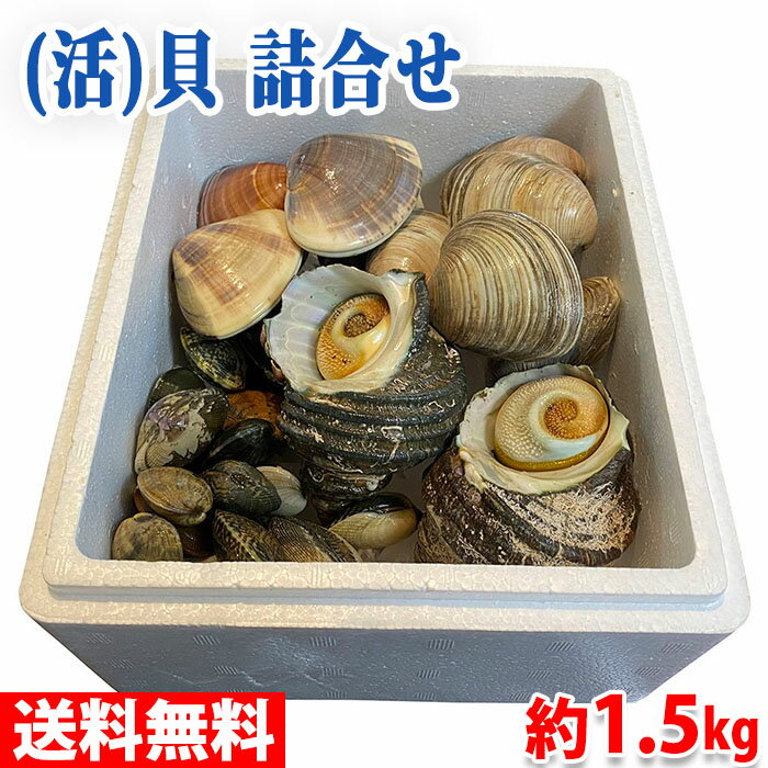 【送料無料】国産（活）貝　詰合せセット　4種前後　約1.5kg