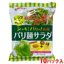 【送料無料】 ダイショー パリ麺サラダ 95g×10パック入り (箱) 業務用 セット