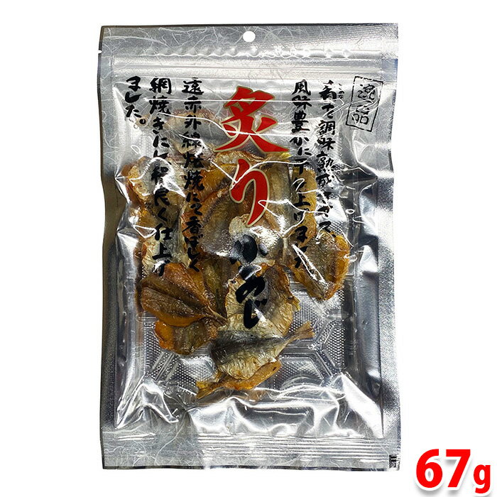 小倉秋一商店　炙り小あじ　67g　パック 干物 乾物