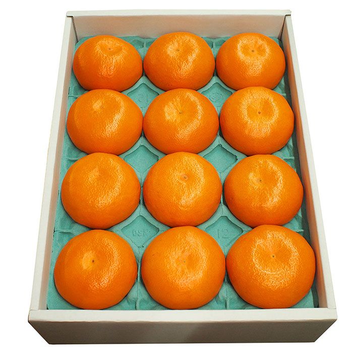 佐賀県産みかんはまさき10〜12玉入り2.5〜3kg(化粧箱)