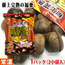 神光商事 樹上完熟 福栗 2袋入り(100g小袋×2入)パック 無添加 皮割れ 甘栗 おやつ スイーツ 和菓子