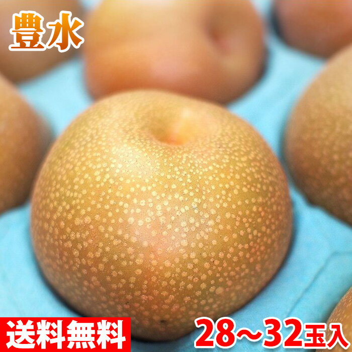 【送料無料】徳島県産　梨（なし）豊水　秀品　28～32玉入り　10kgのサムネイル