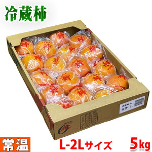 福岡県産　冷蔵柿　富有柿　秀品　L～2Lサイズ　5kg