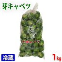 静岡県産　芽キャベツ　2Lサイズ　約1kg（35〜40個入り） その1