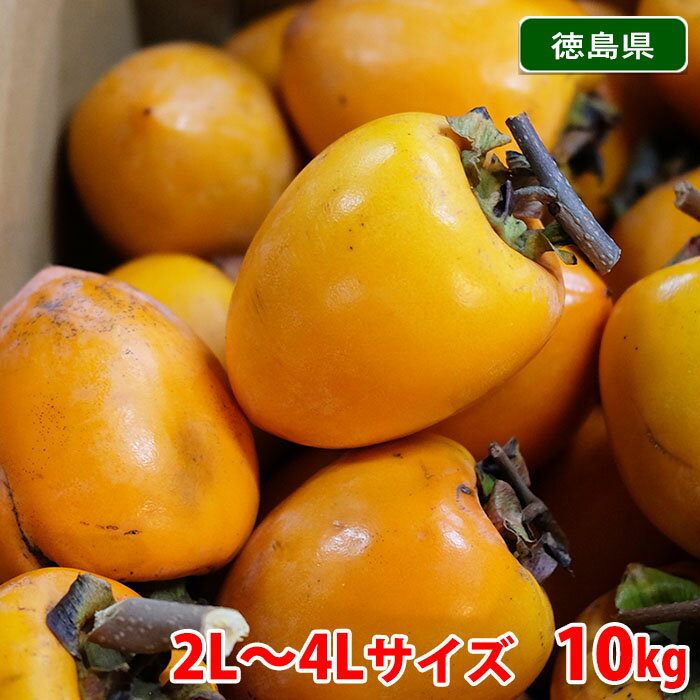 【送料無料】 徳島県産他　つるし柿 （あたご柿・江戸柿） 2L～4Lサイズ　10kg （箱）のサムネイル