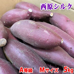 熊本県産　さつまいも　シルクスイート　A等級　Mサイズ（26〜28本入り）5kg