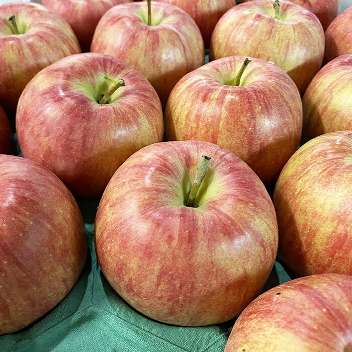 【送料無料】青森県産　りんご　ジョナゴールド　28玉サイズ　10kg（CA貯蔵）