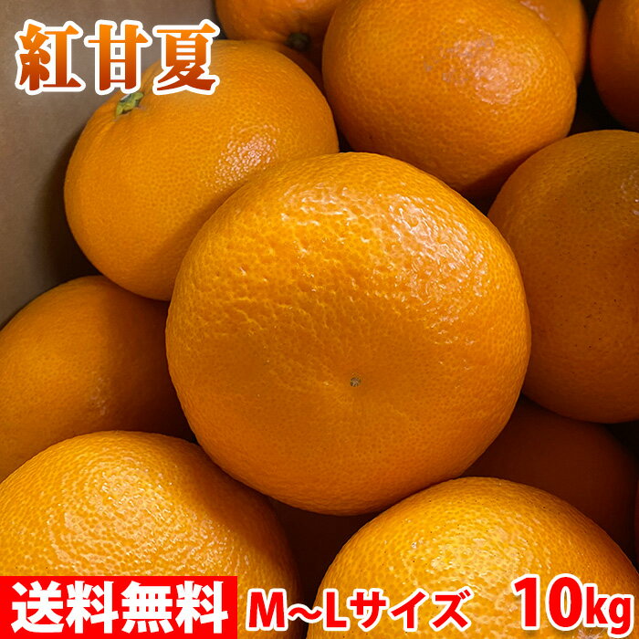 【送料無料】鹿児島県産　紅甘夏　秀品　M〜Lサイズ　10kg