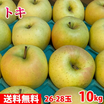 【送料無料】　青森県産　りんご　トキ　秀品　26〜28玉入　10kg