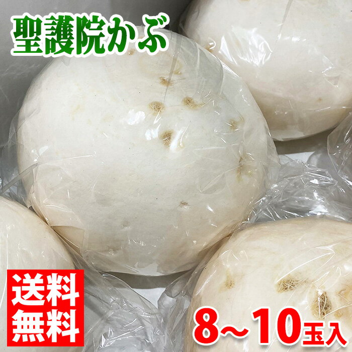 【送料無料】京都府産　聖護院かぶら　秀　Lサイズ　8～10玉入　約10kg