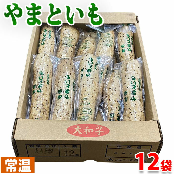 群馬県産　大和芋（やまといも）　AA棒　約350g×12パック入り／箱 群馬を代表する特産品のひとつ「やまといも」を栄養価やネバリが高く新鮮さを保ったままパックにしています。 粘りが強く、コクと風味があり、生でシャキシャキ、加熱するとホクホクとした食感があります。 とろろ汁、山かけ、酢物も、煮物料理、とろろそば、お好み焼など様々にご利用いただけます。 ※洗ったものを真空パックしたものです。 こちらの商品は、購入制限内で購入個数に応じたまとめ買い割引クーポンがある「クーポン発行対象商品」です。まとめ買い割引クーポン対象商品一覧は下記バナーからご確認ください。 ■クーポン獲得には楽天会員ログインが必要です。 ■販売期間、購入制限により使用できるクーポンが限定される場合があります。 ■各クーポンの詳細に関しては『myクーポン』より獲得したクーポンをご確認ください。 ■まとめ買い、在庫、納期、賞味期限などの商品に関するご質問がございましたらお気軽にお問合せください。 商品詳細 商品名（名称） 大和芋（やまといも） 規格・サイズ AA棒 内容量 約350gパック×12入り（箱） 箱サイズ 箱サイズ：（約）43.5×30×8.5cm 産地 群馬県 販売期間 通年 発送方法 常温便 同梱不可 冷蔵・冷凍の商品との同梱はできません。