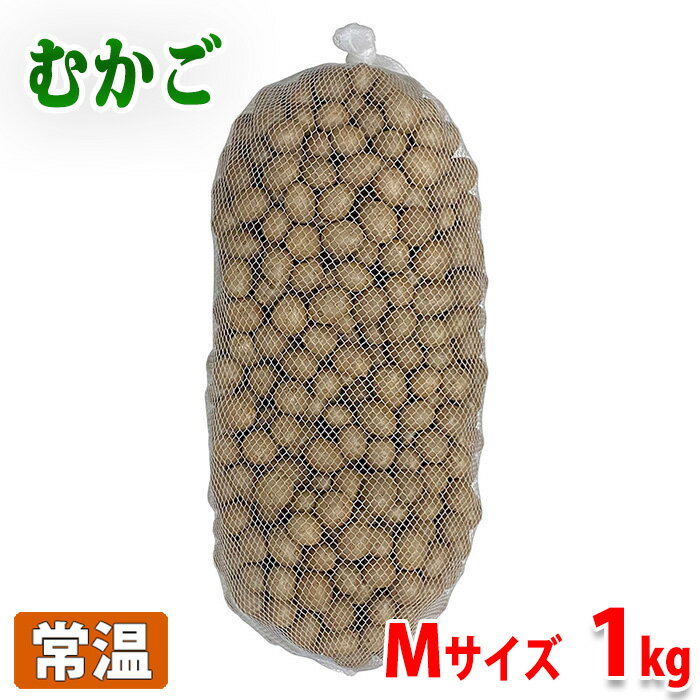 青森県産　むかご　Mサイズ　1kg（ネット入り）