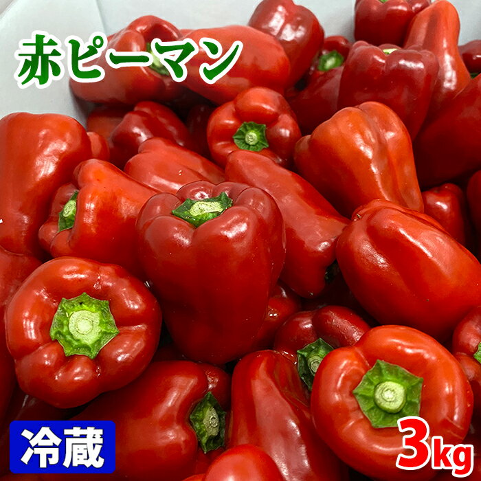 高知県産　赤ピーマン　秀品　M～Lサイズ　3kg　(箱)
