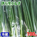 佐賀県産　伊万里小ねぎ　1束（約100g）