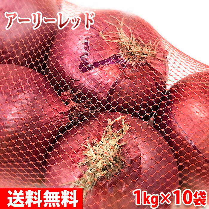 【送料無料】 北海道産　赤玉ねぎ　アーリーレッド　10kg（1kg(4～5玉)×10袋)