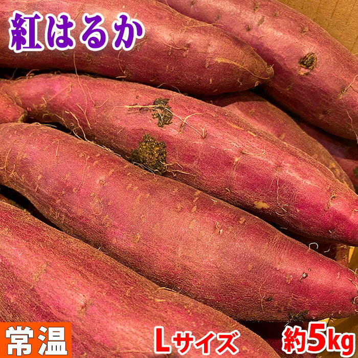 千葉県産　さつまいも　紅はるか　秀品　Lサイズ（約13本入）約4.5〜5kg 「JAかとり」のさつまいも品種、紅はるかです。 収穫後、長期間貯蔵保管した商品が出荷されてきますが、形もよくサイズが整っており、色味も鮮やか。 しっとりとねっとりとした食感とスイーツのような濃厚な甘みがあり、焼き芋におすすめです。 ※こちらは「Lサイズ」です。 →「Mサイズ」はこちら。 →「2Lサイズ」はこちら。 →「Sサイズ」はこちら。 こちらの商品は、購入制限内で購入個数に応じたまとめ買い割引クーポンがある「クーポン発行対象商品」です。まとめ買い割引クーポン対象商品一覧は下記バナーからご確認ください。 ■クーポン獲得には楽天会員ログインが必要です。 ■販売期間、購入制限により使用できるクーポンが限定される場合があります。 ■各クーポンの詳細に関しては『myクーポン』より獲得したクーポンをご確認ください。 ■まとめ買い、在庫、納期、賞味期限などの商品に関するご質問がございましたらお気軽にお問合せください。 商品詳細 商品名（名称） さつまいも　紅はるか 規格・サイズ 秀品・Lサイズ 内容量 約4.5〜5kg（約13本入） 産地 千葉県 販売期間 12月〜5月 発送方法 常温便 同梱不可 冷蔵・冷凍の商品との同梱はできません。