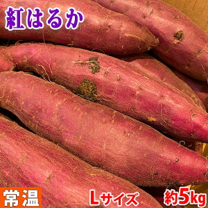 千葉県産　さつまいも　紅はるか　秀品　Lサイズ（約13本入）約4.5～5kg