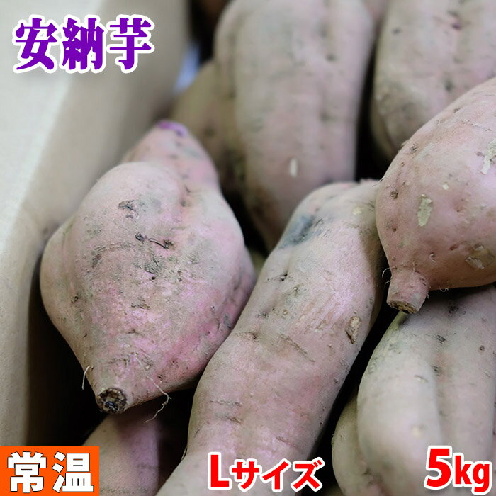 【送料無料】鹿児島県産（夢百笑）種子島さつまいも　蜜芋（安納芋） Lサイズ　約5kg（18～20本前後入）箱入り