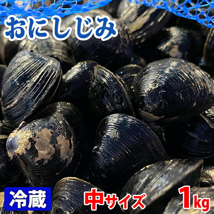 鳥取県産 鬼蜆(おにしじみ) 中サイズ(約13〜14mm/個) 約1kg