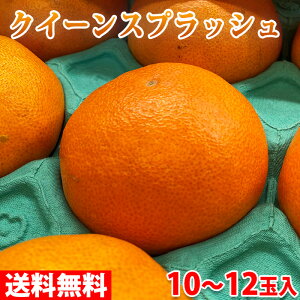 【送料無料】 愛媛県産　クイーンスプラッシュ （甘平） 10〜12玉入　3kg