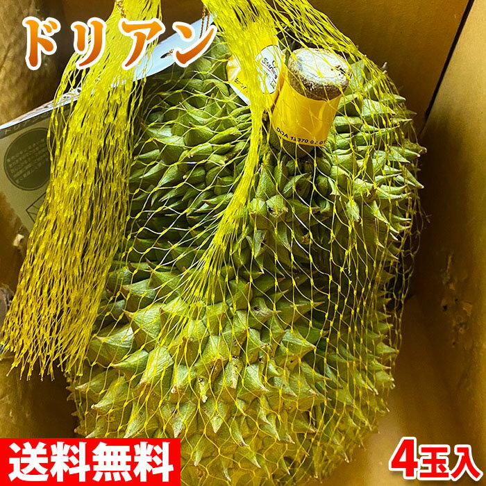 【送料無料】タイ産　ドリアン　4玉入 （1玉約2.3〜2.5kg） 10kg （箱）