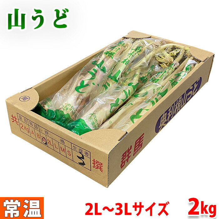 【送料無料】群馬県産　山うど　2L〜3L サイズ　2kg/箱（6〜8本）