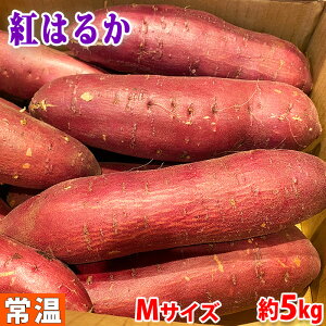千葉県産　さつまいも　紅はるか　秀品　Mサイズ（約20本入）約4.5～5kg
