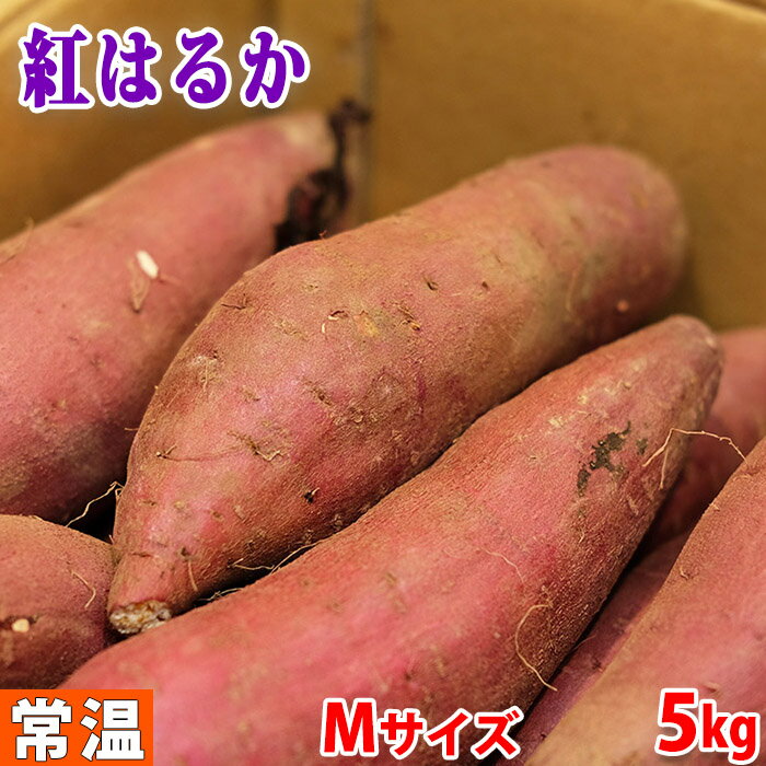 茨城県産　さつまいも　旭甘十郎　紅はるか　特秀　Mサイズ　5kg (18～20本前後) 貯蔵 箱入り