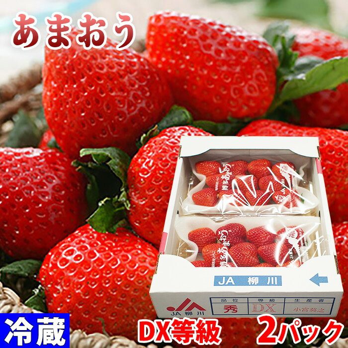 福岡県産 いちご あまおう DX等級 平詰め 約300g(6〜12粒前後入)×2パック (箱) 国産 フルーツ 果物