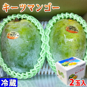 沖縄県産　キーツマンゴー　秀品　約500g×2玉入（化粧箱）