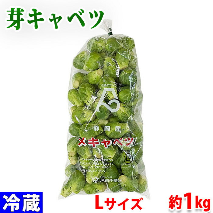 静岡県産　芽キャベツ　Lサイズ　約1kg（袋）