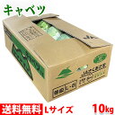 【送料無料】長野県産　キャベツ　秀品　Lサイズ　8～9玉入　10kg