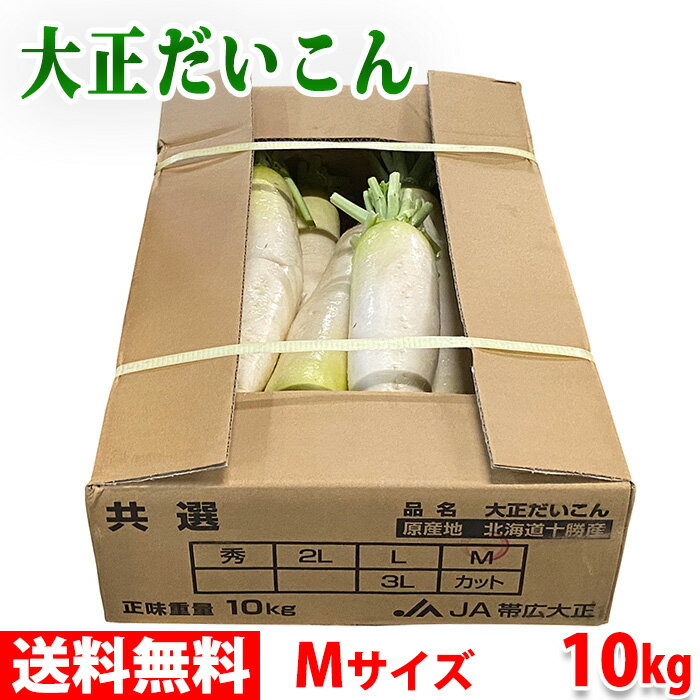 【送料無料】 北海道産　帯広　大正だいこん　Mサイズ　10本入り　10kgのサムネイル