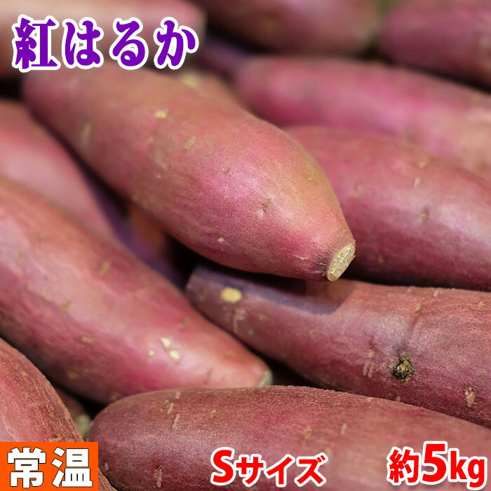【送料無料】千葉県産(JAかとり)さつまいも 紅はるか 秀品 Sサイズ 約4.5kg(30〜35本前後入)貯蔵 箱入り