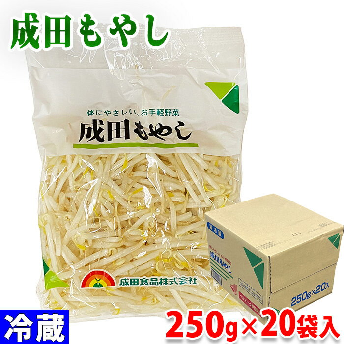 岐阜県産他　成田もやし　250g×20袋入り（箱） 1